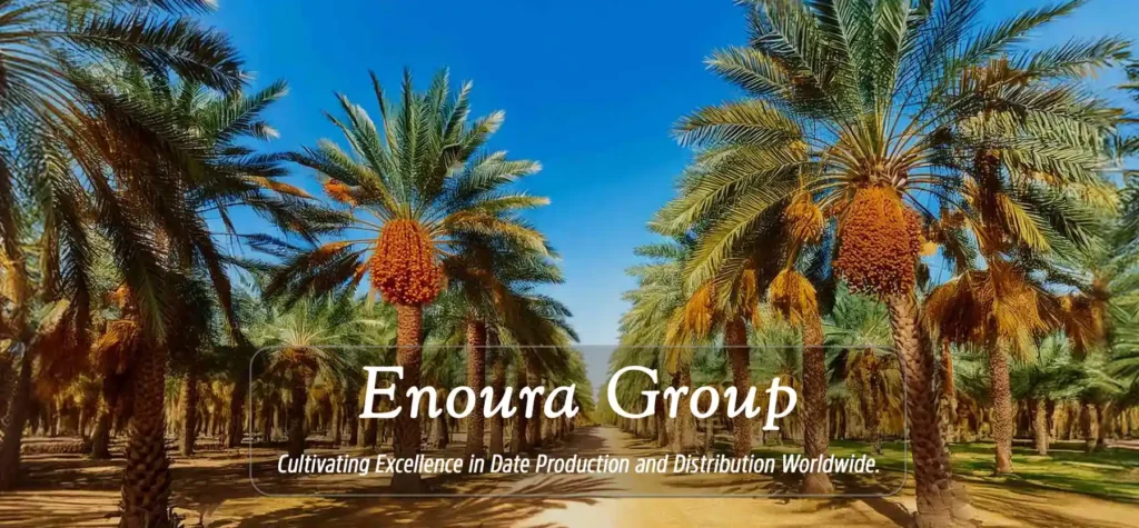 Enoura Banner